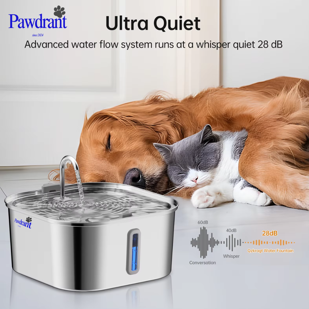 Pawdrant - Dog filtration Fountain - 40% OFF