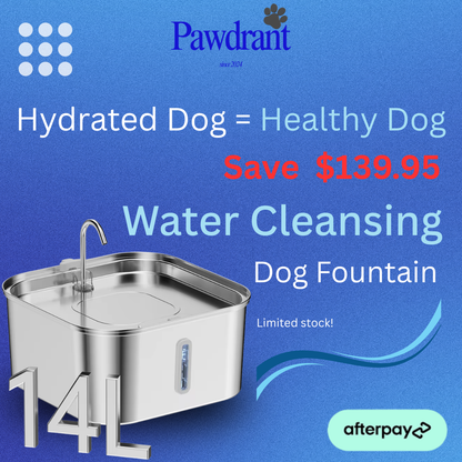 Pawdrant - Dog filtration Fountain - 40% OFF